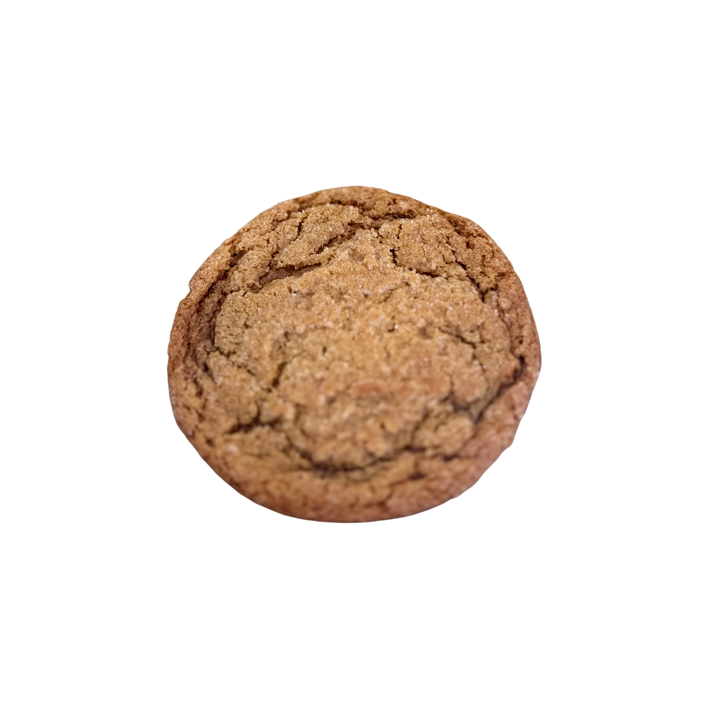 Ginger Molasses Cookie With Ginger Chuncks